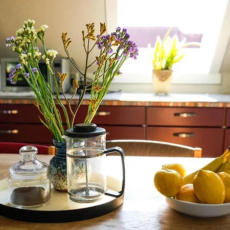Cosy In Residential Part Of Copenhagen, With Free Street Parking And Shared Bathroom